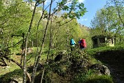 Monte Cancervo ad anello dalla Pianca sui sentieri CAI 102-130-131 il 1 maggio 2019 - FOTOGALLERY